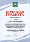 Почетная грамота главы Болотнинского района